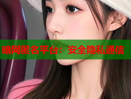 暗网匿名平台：安全隐私通信  第1张