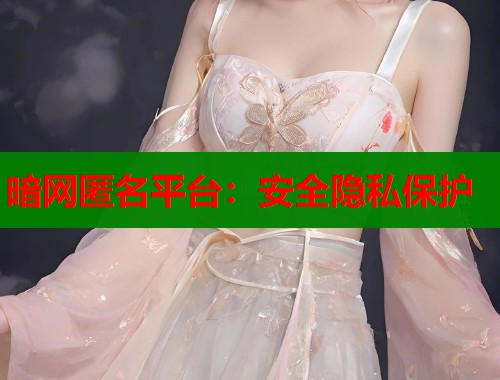 暗网匿名平台：安全隐私保护  第1张