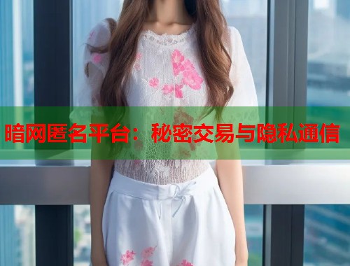 暗网匿名平台：秘密交易与隐私通信  第1张