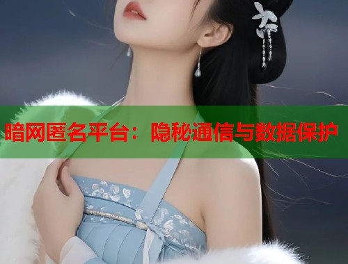 暗网匿名平台：隐秘通信与数据保护  第1张