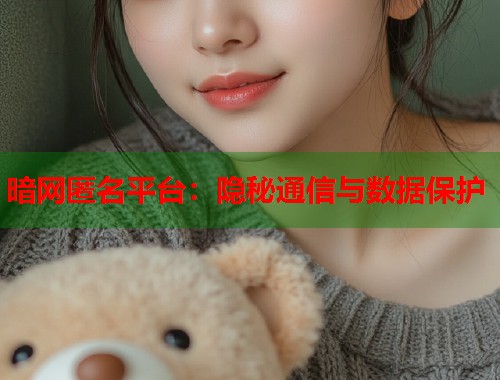 暗网匿名平台：隐秘通信与数据保护  第2张