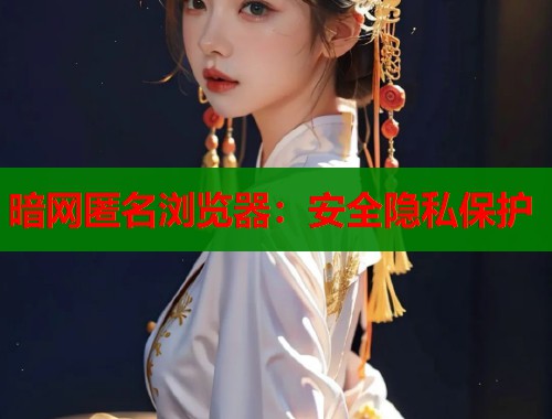 暗网匿名浏览器：安全隐私保护  第1张