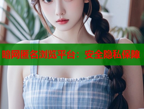 暗网匿名浏览平台：安全隐私保障  第1张
