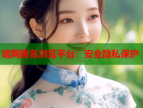 暗网匿名浏览平台：安全隐私保护  第1张