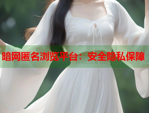 暗网匿名浏览平台：安全隐私保障  第2张