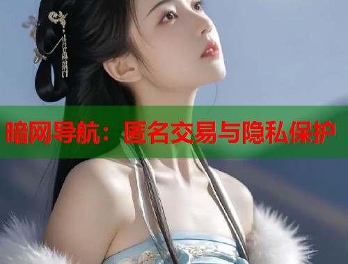 暗网导航：匿名交易与隐私保护  第1张