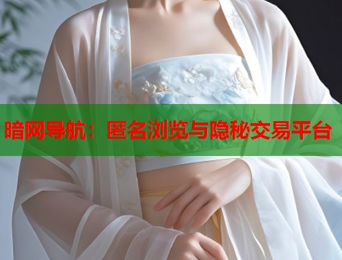 暗网导航：匿名浏览与隐秘交易平台  第2张