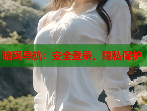 暗网导航：安全登录，隐私保护  第1张