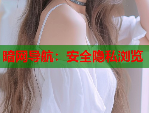 暗网导航：安全隐私浏览  第1张