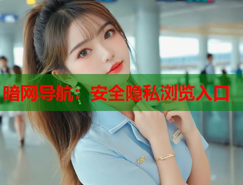 暗网导航：安全隐私浏览入口  第1张
