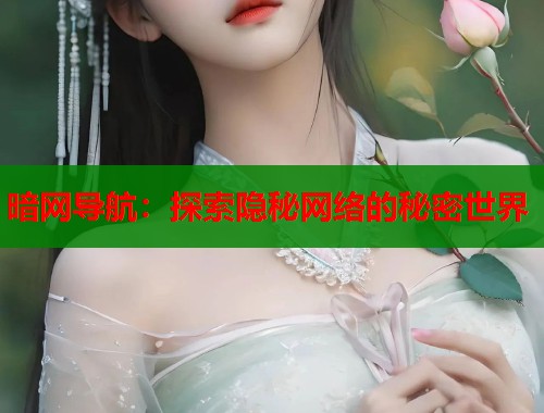 暗网导航：探索隐秘网络的秘密世界  第2张