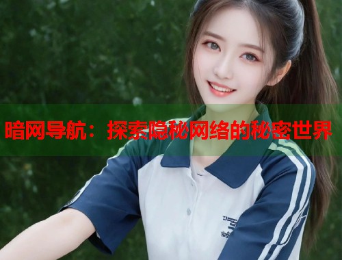 暗网导航：探索隐秘网络的秘密世界  第1张