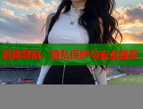 暗网导航：隐私保护与安全搜索  第1张