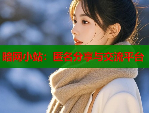 暗网小站：匿名分享与交流平台  第1张