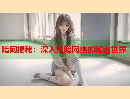 暗网揭秘：深入黑暗网络的秘密世界  第2张