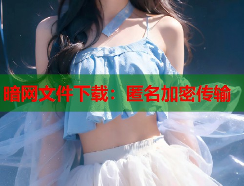 暗网文件下载：匿名加密传输  第1张