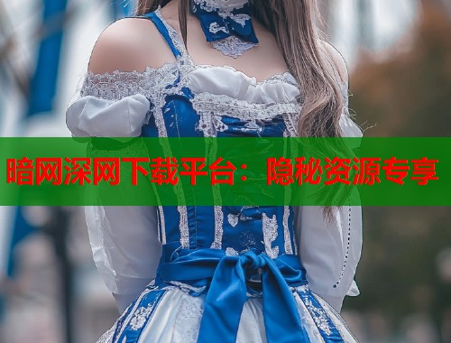 暗网深网下载平台：隐秘资源专享  第1张