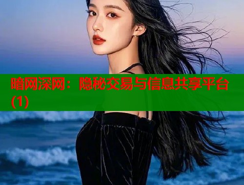 暗网深网：隐秘交易与信息共享平台(1)  第2张