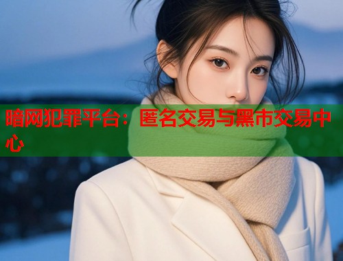 暗网犯罪平台：匿名交易与黑市交易中心  第2张