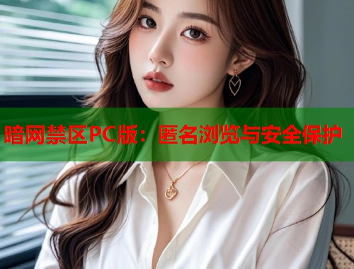 暗网禁区PC版：匿名浏览与安全保护  第1张