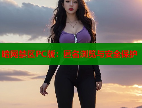 暗网禁区PC版：匿名浏览与安全保护  第2张