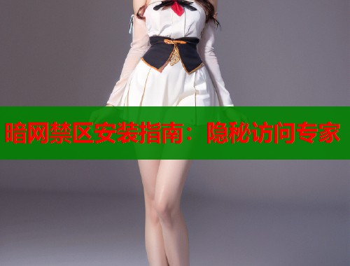 暗网禁区安装指南：隐秘访问专家  第1张