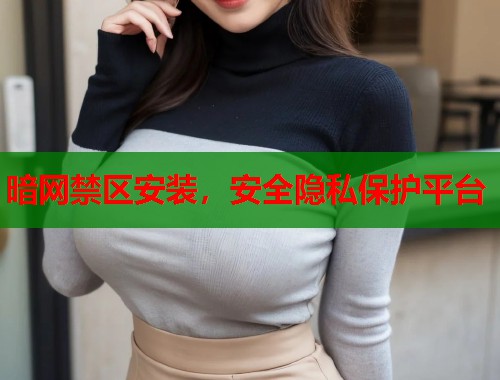 暗网禁区安装，安全隐私保护平台  第2张