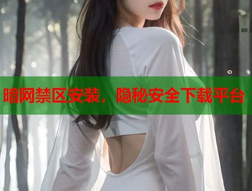暗网禁区安装，隐秘安全下载平台  第1张