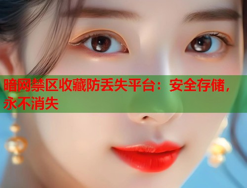 暗网禁区收藏防丢失平台：安全存储，永不消失  第2张