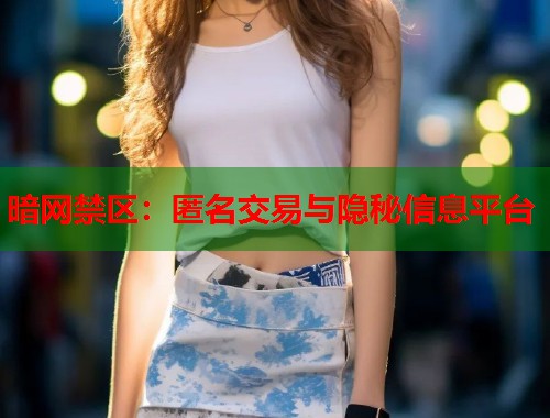 暗网禁区：匿名交易与隐秘信息平台  第1张