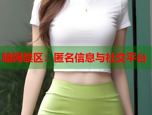 暗网禁区：匿名信息与社交平台  第1张