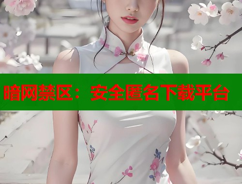 暗网禁区：安全匿名下载平台  第1张