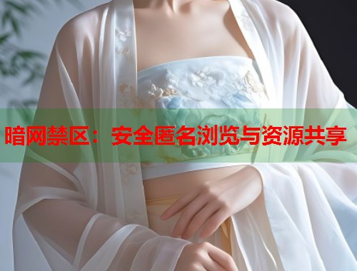 暗网禁区：安全匿名浏览与资源共享  第1张