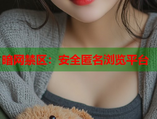 暗网禁区：安全匿名浏览平台  第1张