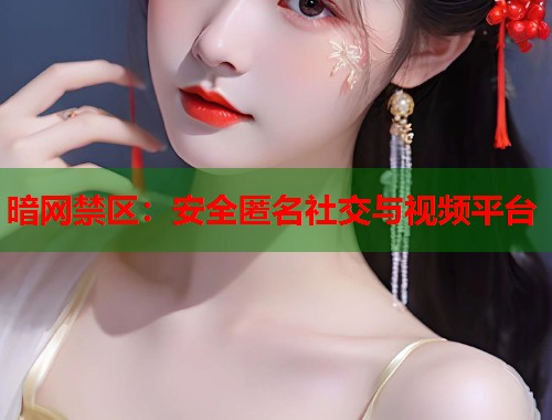 暗网禁区:安全匿名社交与视频平台 第1张 暗网禁区:安全匿名社交与视频平台 第1张