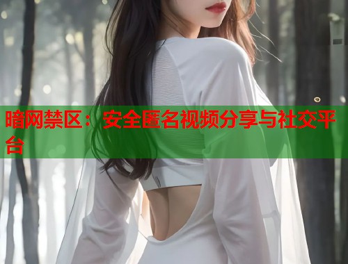 暗网禁区：安全匿名视频分享与社交平台  第1张