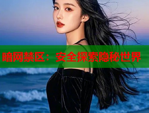 暗网禁区：安全探索隐秘世界  第1张