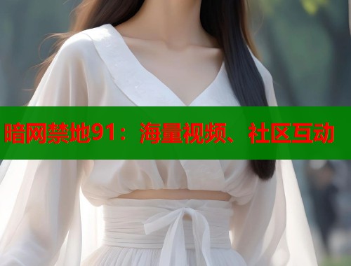 暗网禁地91：海量视频、社区互动  第1张