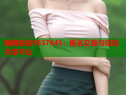 暗网禁地9837645：匿名交易与信息共享平台  第1张