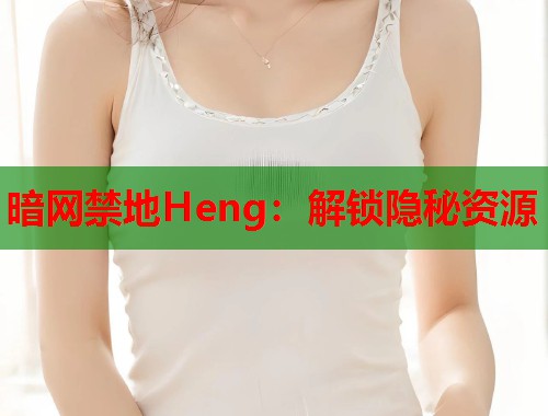 暗网禁地Heng：解锁隐秘资源  第1张