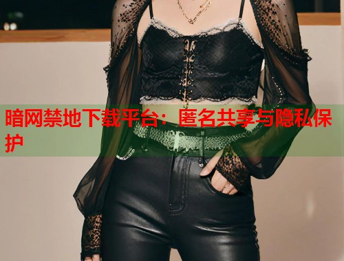 暗网禁地下载平台:匿名共享与隐私保护 第1张 暗网禁地下载平台:匿名共享与隐私保护 第1张