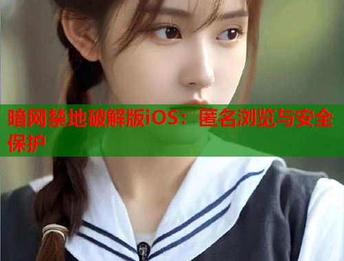 暗网禁地破解版iOS：匿名浏览与安全保护  第1张