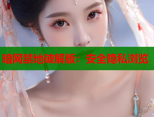 暗网禁地破解版：安全隐私浏览  第2张