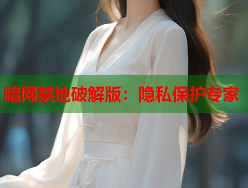 暗网禁地破解版：隐私保护专家  第1张
