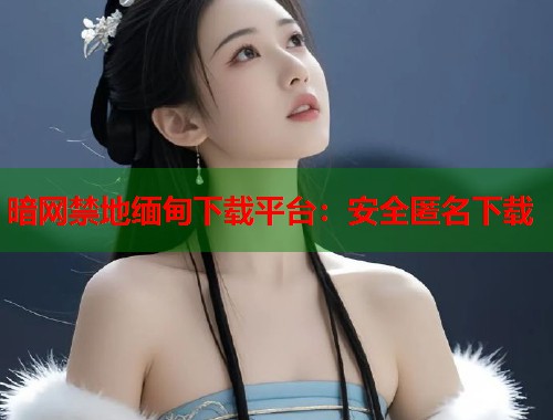暗网禁地缅甸下载平台：安全匿名下载  第1张