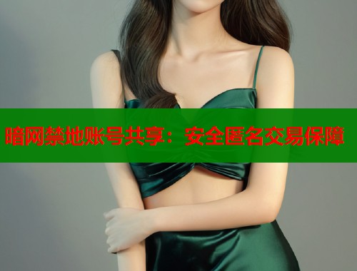 暗网禁地账号共享：安全匿名交易保障  第1张