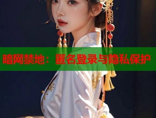 暗网禁地：匿名登录与隐私保护  第1张