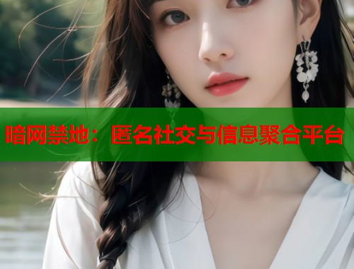 暗网禁地：匿名社交与信息聚合平台  第1张