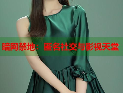 暗网禁地：匿名社交与影视天堂  第1张