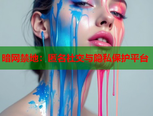 暗网禁地：匿名社交与隐私保护平台  第1张